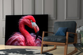 Flamingo Cam Tablo