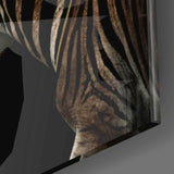 Zebra Cam Tablo.