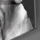 Masum Köpek Cam Tablo.