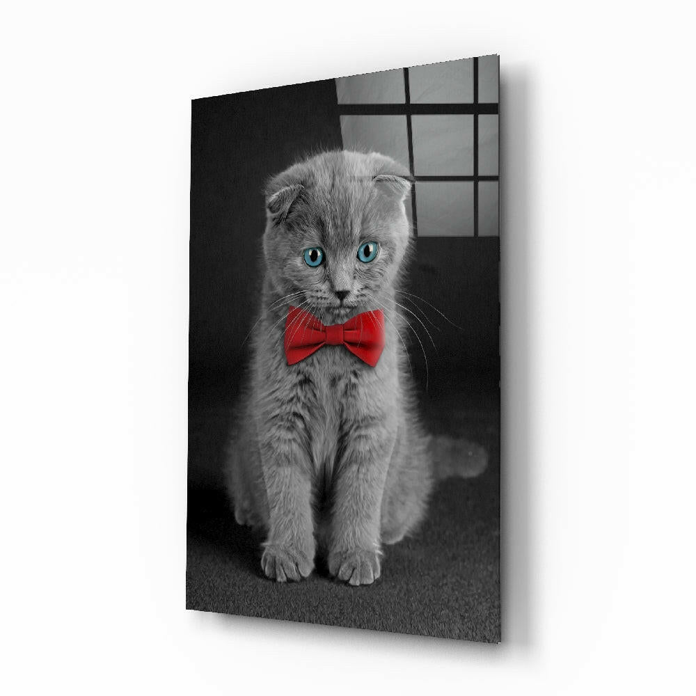 Kedi Cam Tablo.