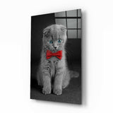 Kedi Cam Tablo.
