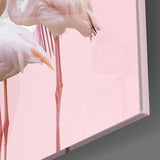 Flamingo Cam Tablo.