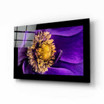 Çarkıfelek Çiçeği Cam Tablo.