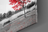 Kırmızı Ağaç Cam Tablo | Insigne Art | Üstün Kalite