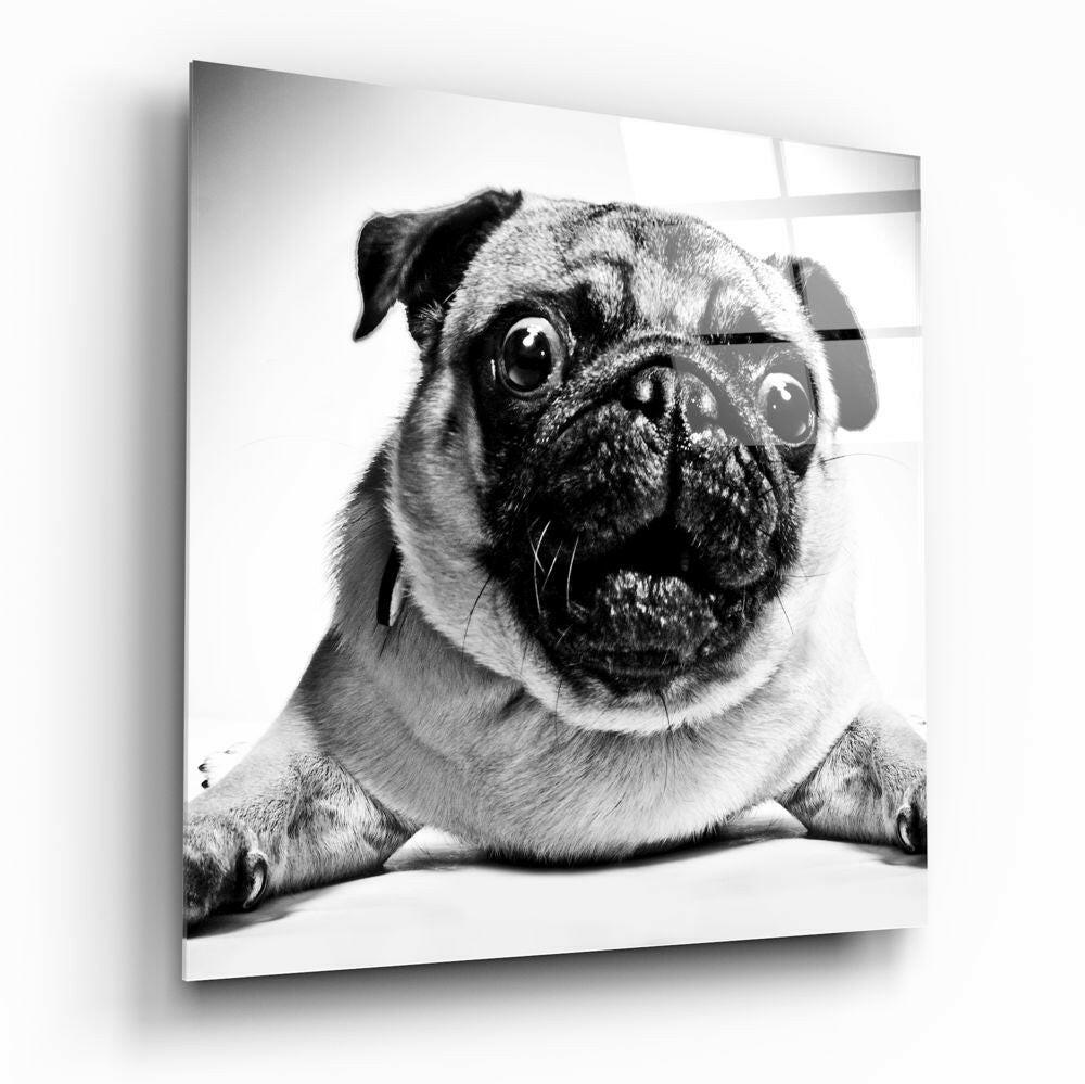 Pug Cam Tablo.