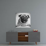 Pug Cam Tablo.