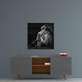 Aslan Cam Tablo.