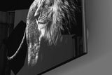 Aslan Cam Tablo.