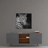 Leopar Cam Tablo.