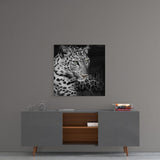 Leopar Cam Tablo.