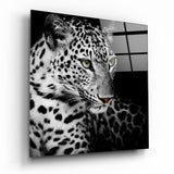 Leopar Cam Tablo.