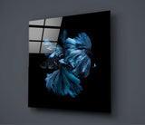 Betta Balık Cam Tablo.