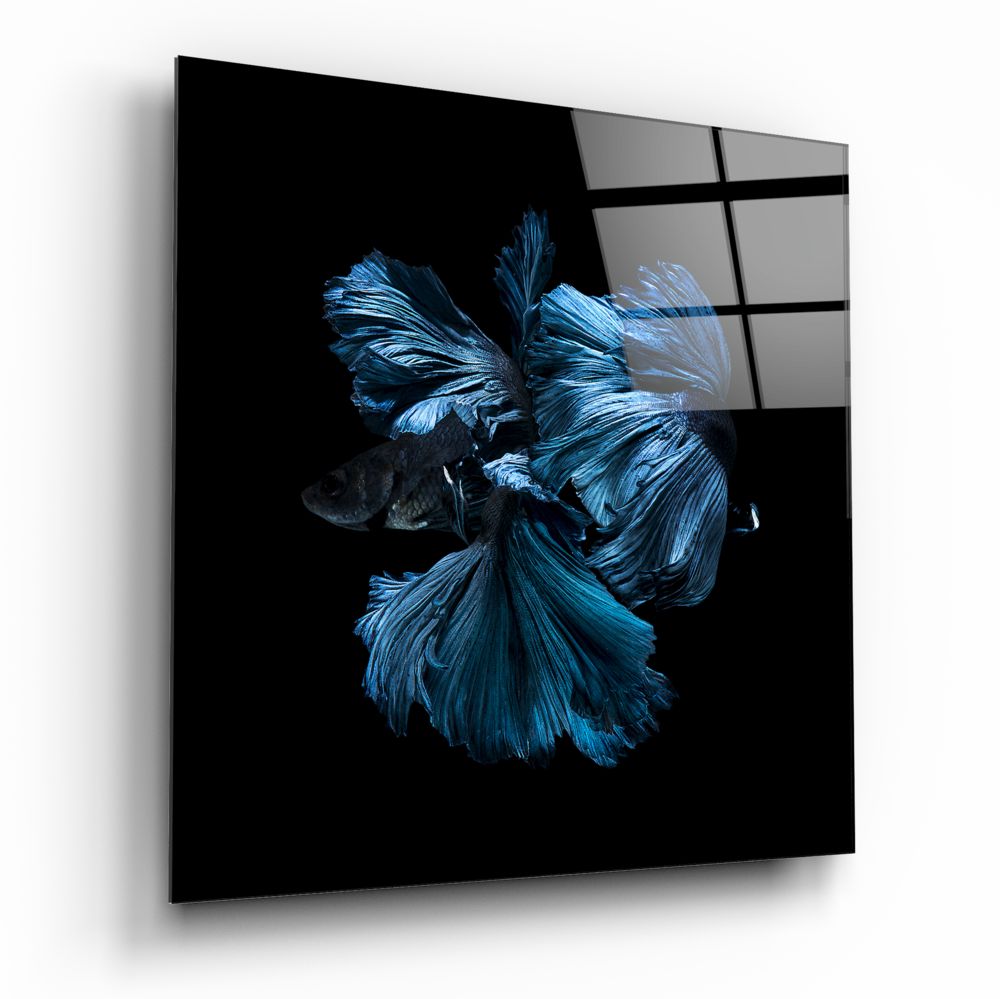 Betta Balık Cam Tablo.