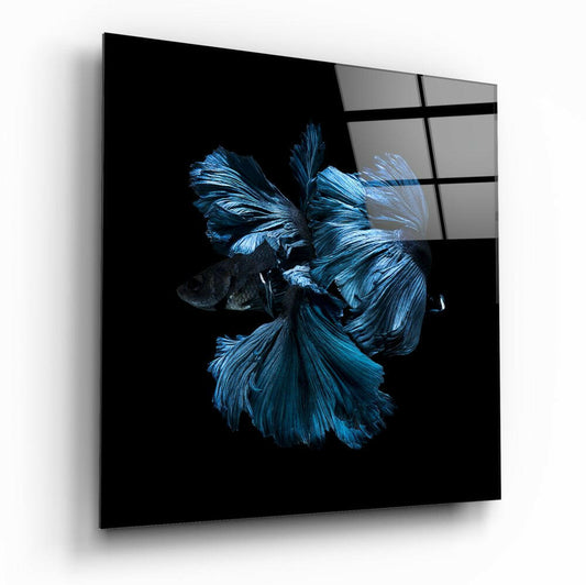 Betta Balık Cam Tablo.