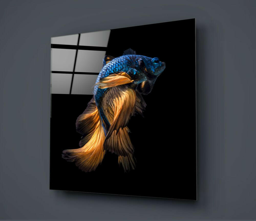Betta Balık Cam Tablo.