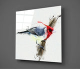 Kırmızı Kuş Cam Tablo | Insigne Art | Üstün Kalite