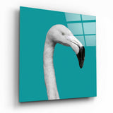 Flamingo Cam Tablo.