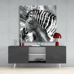 Zebra Cam Tablo.