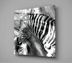 Zebra Cam Tablo.