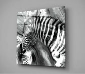 Zebra Cam Tablo.