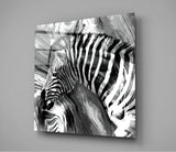Zebra Cam Tablo.