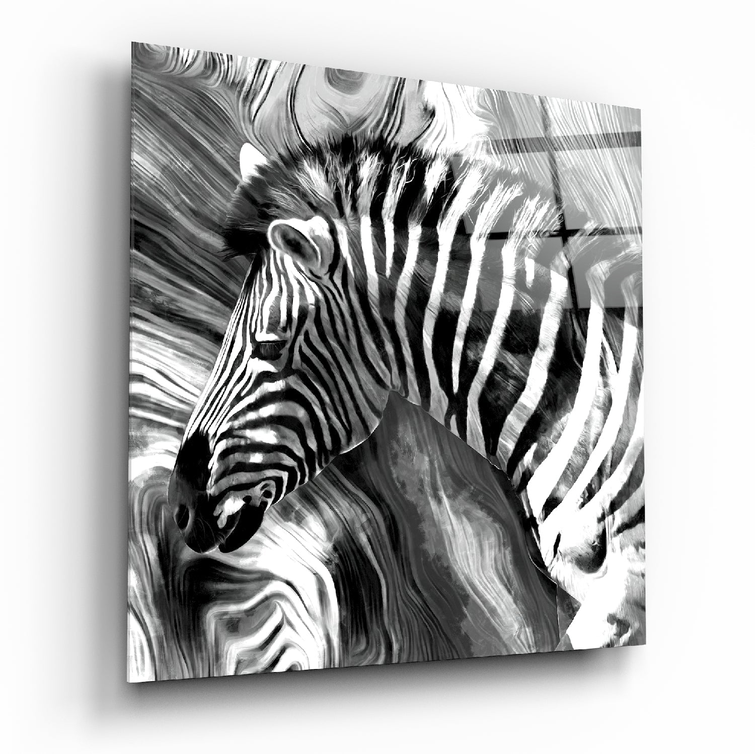 Zebra Cam Tablo.