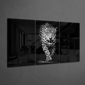 Karanlıktaki Leopar Mega Cam Tablo.