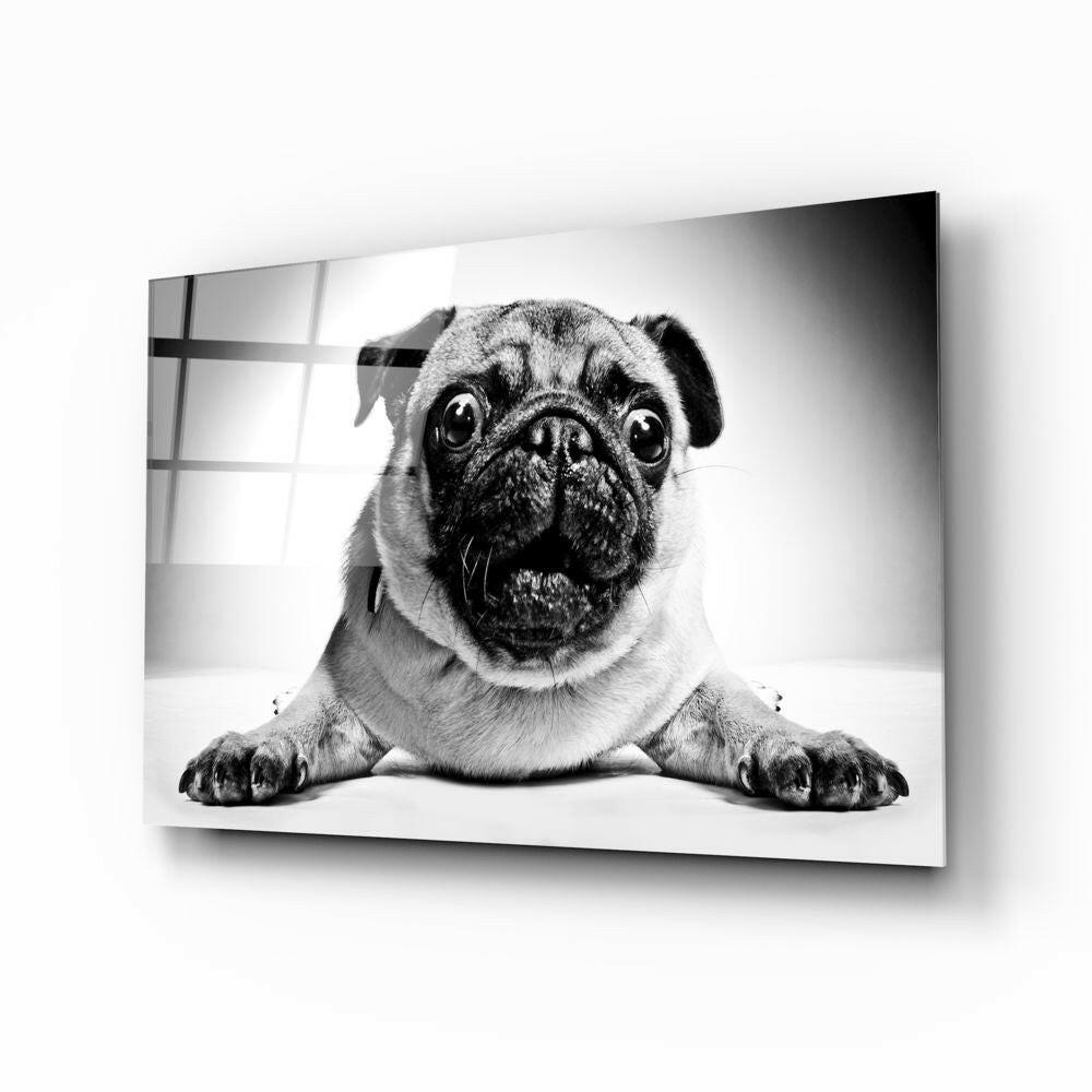 Pug Cam Tablo