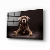 Köpek Cam Tablo.