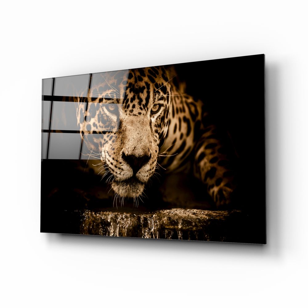 Leopar Cam Tablo.