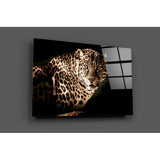 Leopar Cam Tablo.