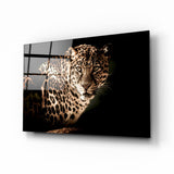 Leopar Cam Tablo.