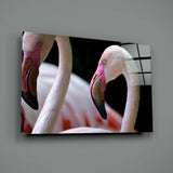 Flamingo Cam Tablo.