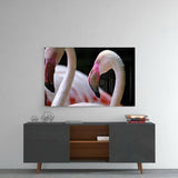 Flamingo Cam Tablo.