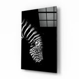 Zebra Cam Tablo.