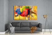 Papağan 4 Parça Mega Cam Tablo | 150x92 cm.