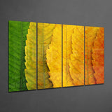 Sonbahar Yaprakları 4 Parça Mega Cam Tablo | 150x92 cm.
