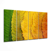 Sonbahar Yaprakları 4 Parça Mega Cam Tablo | 150x92 cm.