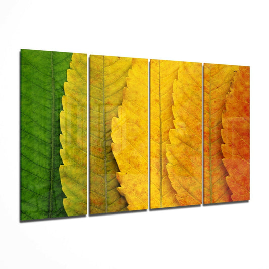 Sonbahar Yaprakları 4 Parça Mega Cam Tablo | 150x92 cm.