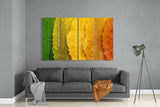 Sonbahar Yaprakları 4 Parça Mega Cam Tablo | 150x92 cm.