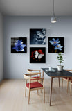 Çiçekler Quadro 4 Parçalı Cam Tablo.