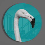 Flamingo Cam Tablo.