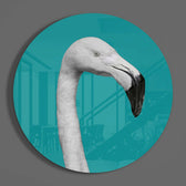 Flamingo Cam Tablo.