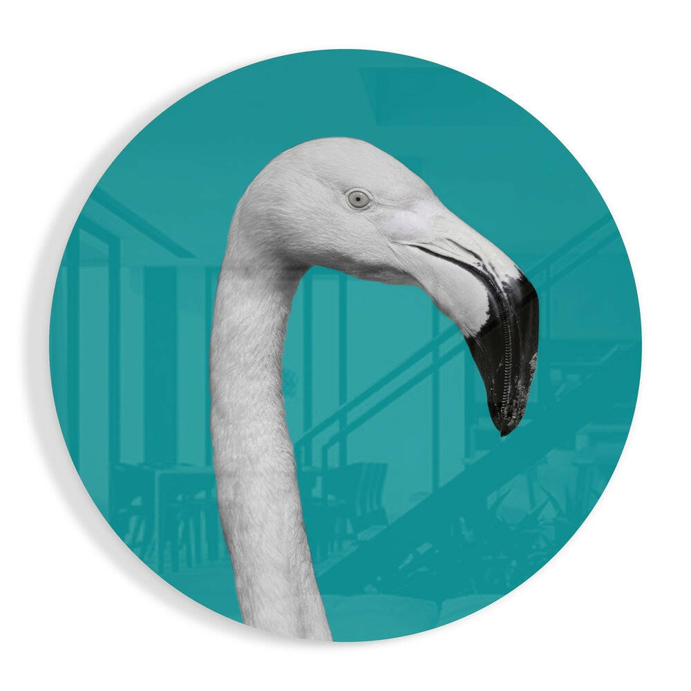 Flamingo Cam Tablo.