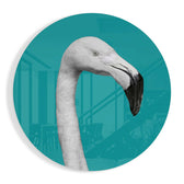 Flamingo Cam Tablo.