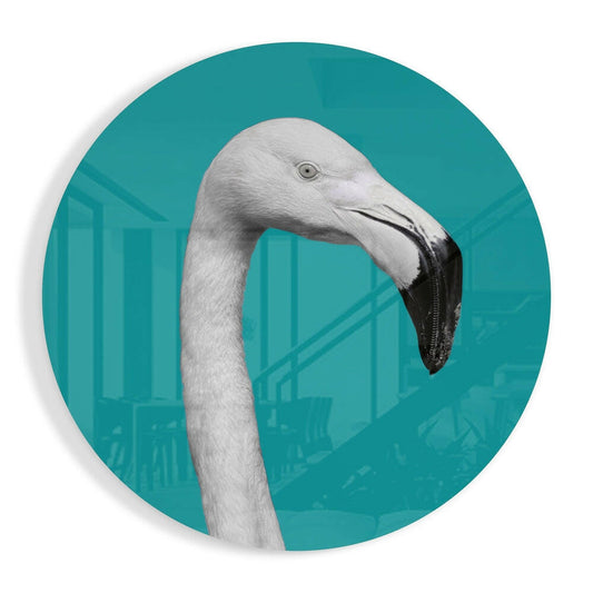 Flamingo Cam Tablo.