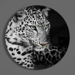 Leopar Cam Tablo.