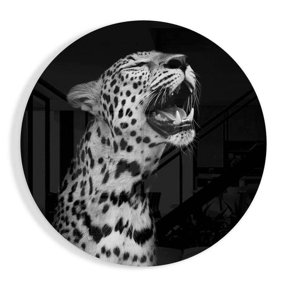 Leopar Cam Tablo.