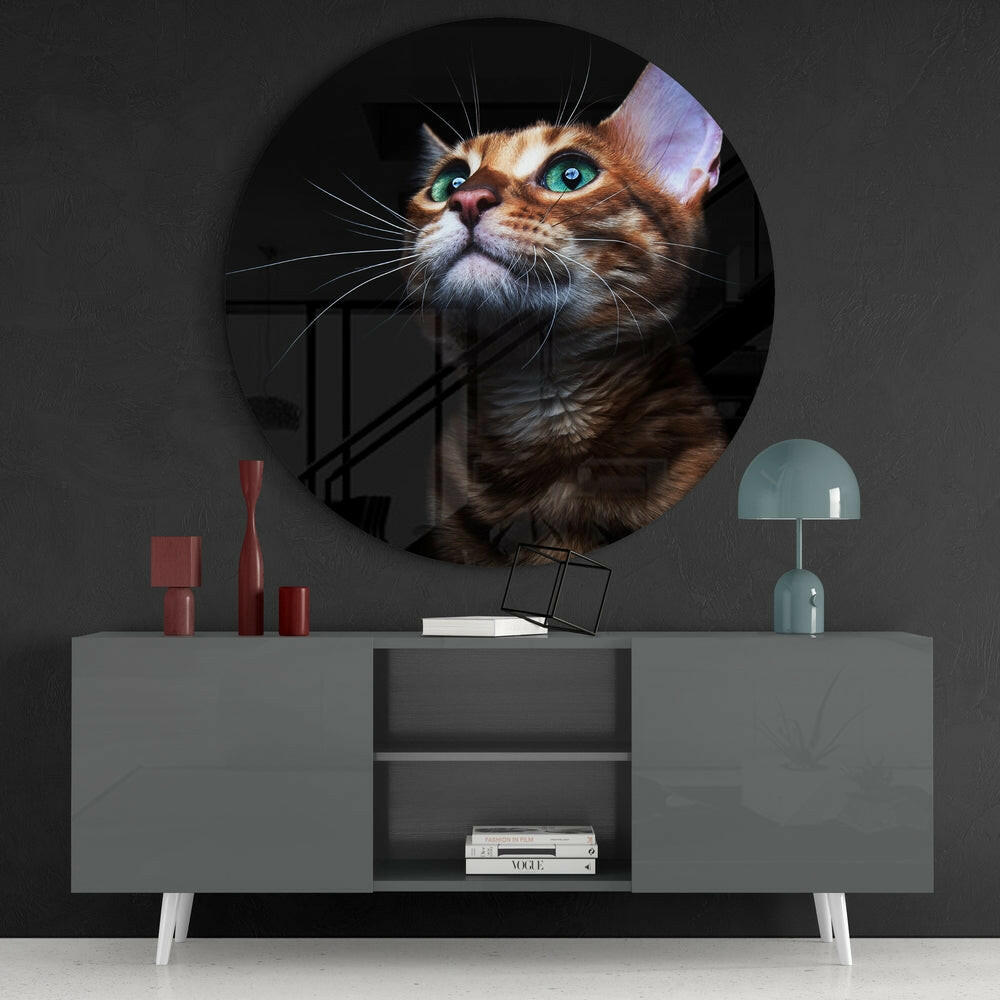 Kedi Cam Tablo.