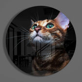 Kedi Cam Tablo.
